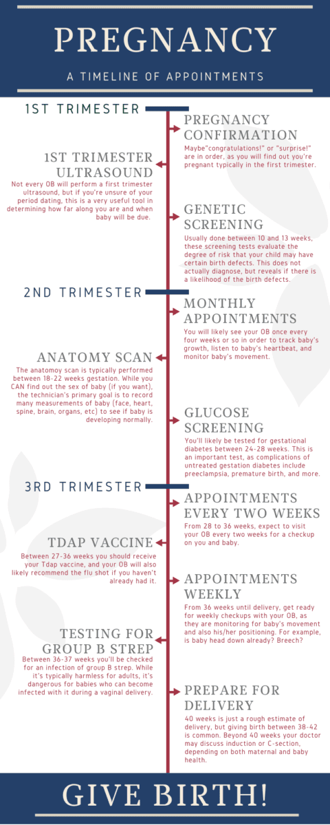Pregnancy Appointment Timeline | Free Care in Modesto, CA